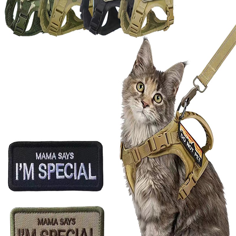 猫咪外出绳胸抱婴袋遛猫马甲背心遛兔牵引绳防挣脱猫牵引绳大小可