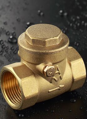 IJ6J429止回阀黄铜卧式止逆阀直通式防反水家用工程水管单向
