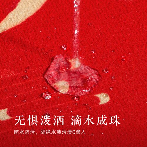 速发进宅大吉入户门地垫进门口家用玄关竖版防滑耐脏蹭土脚垫地毯