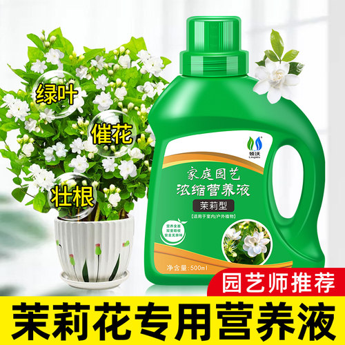 速发茉莉栀肥料专用铁营养液有机硫酸亚肥水培花子花酸性植物盆栽