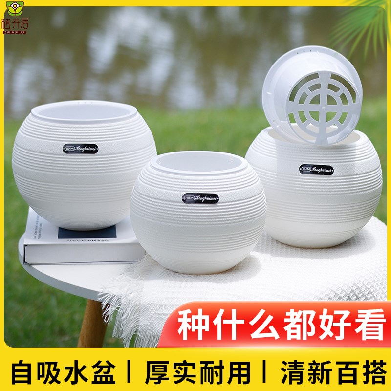 速发花盆家用桌面塑料免浇水懒人花盆自吸水盆栽花卉多肉绿萝水培