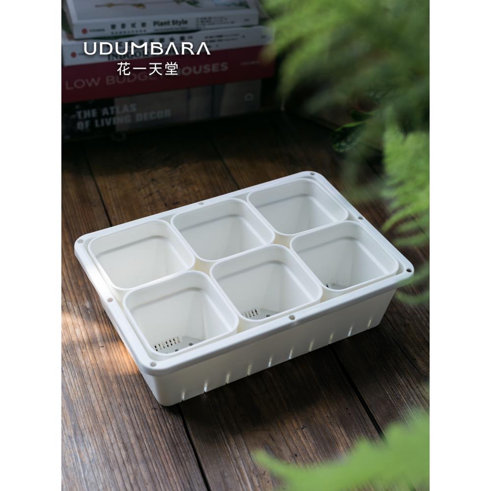 8口径特厚多肉塑料方花盆整理筐接水盘闷养箱阳台种菜育苗播种盘
