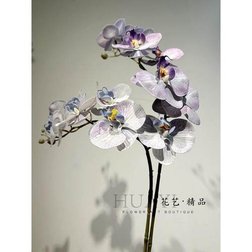 莫兰迪彩色蝴蝶兰手感保湿人造花家居展示花卉装饰美丽插花
