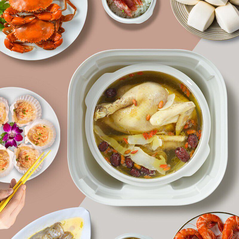 天际电炖炖锅家用蒸汽锅煲汤锅全自动燕窝电炖锅隔水炖4L一锅五胆