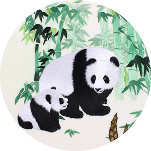 精选苏绣小镇单双面苏绣初学入门DIY套件动物刺绣材料包非十字绣