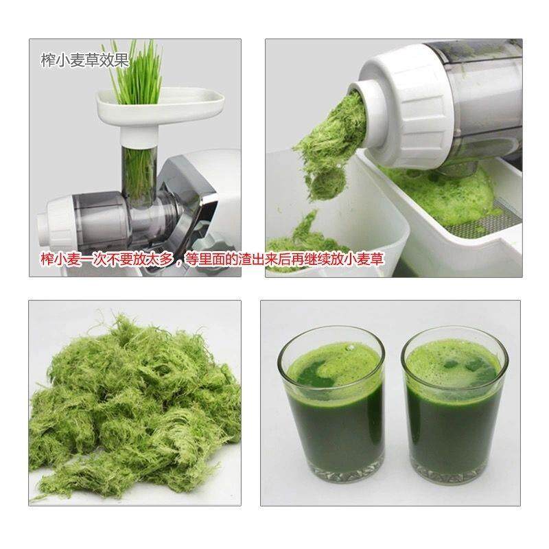 小型家庭电动多功能低速水果蔬菜生姜小麦草西芹榨汁机渣汁分离器