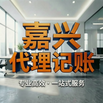 嘉兴代理记账报税一般纳税人小规模纳税人公司财务外包财税咨询