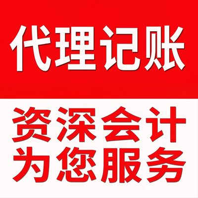 杭州专业公司个体户代理记账纳税申报一般纳税人财税咨询工商年报