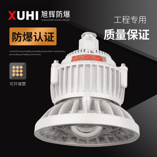 XHD510免维护LED防爆投光灯IP65