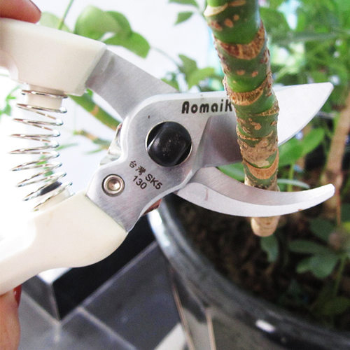 奥迈克AMK130手剪 SK5钢 锋利 园艺工具 修枝剪刀 果树修剪