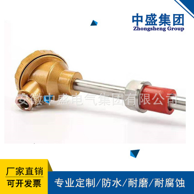 铠装热电偶WRNK-191材质2520 Φ1.0*500mm*1000mm