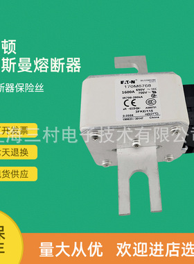 全新原装快速熔断器保险丝170M6783 170M6784 170M6785 170M6786