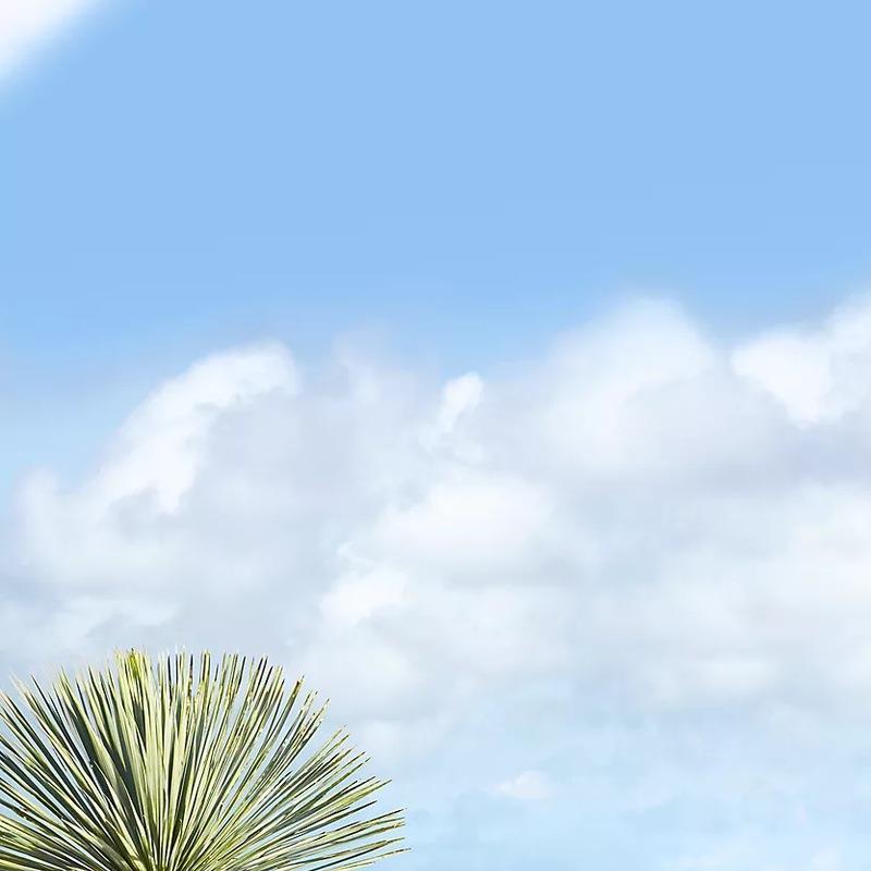 户外花园露台铝制餐桌椅酒店别墅庭院高端餐饮防水防晒家具