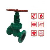 10C铸钢法兰衬胶闸阀 耐磨衬胶铸钢闸板阀DN50 Z41J 100