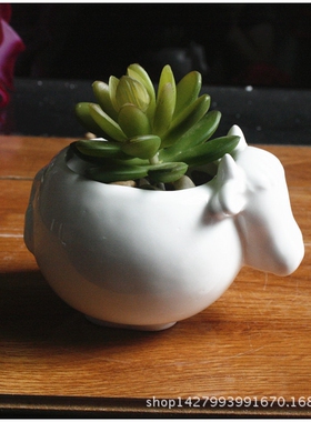 新品白色陶瓷/可爱卡通动物牛多肉花盆/zakka白瓷花器/盆有孔