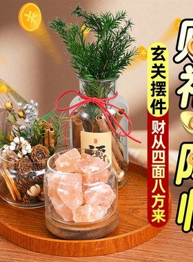 家居玄关入户g摆件肉桂生财粗盐净宅大颗粒电视餐边柜招财客厅装