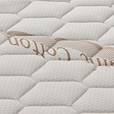 椰棕弹簧床垫双人棕垫可折叠1.8m1.5床1.9m2米护脊椎软硬两用22cm