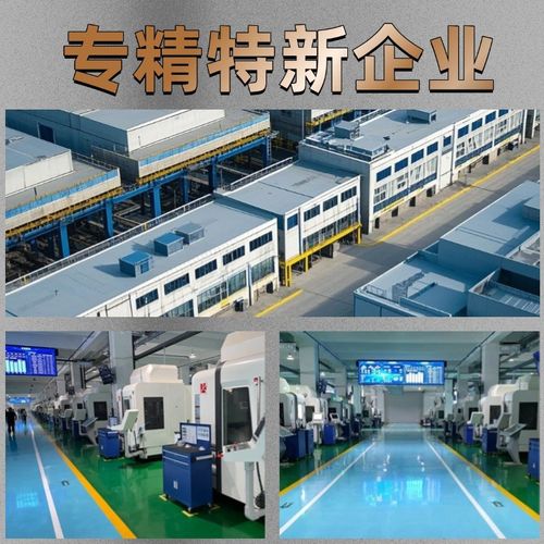 三叶罗茨风机定制 颗粒输送 污水处理 增氧曝气 脱硫脱硝