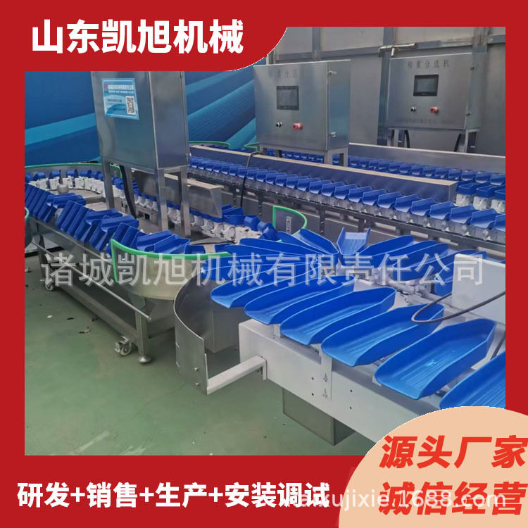 小龙虾重量分选机 盐水鸭自动称重分级秤设备 多功能盒式称分拣机,电子元器件市场,电线扎带/束线带,淘宝优惠券,粉丝福利购,淘宝优惠卷