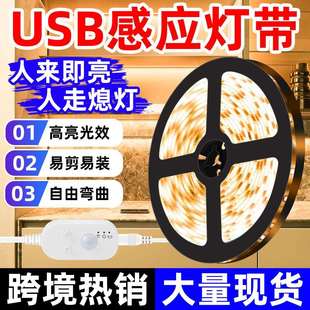 USB防水人体感应灯2835柔性贴片软灯条家用5v 照明LED灯带套装