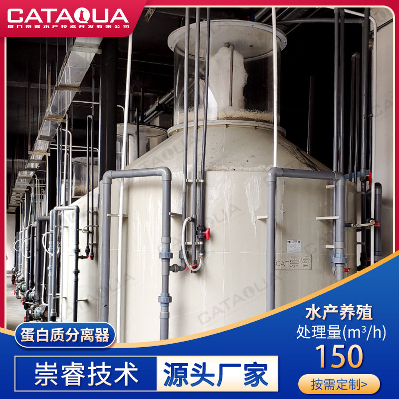 蛋白质分离器工厂化循环水养殖鱼设备大型海洋馆维生系统