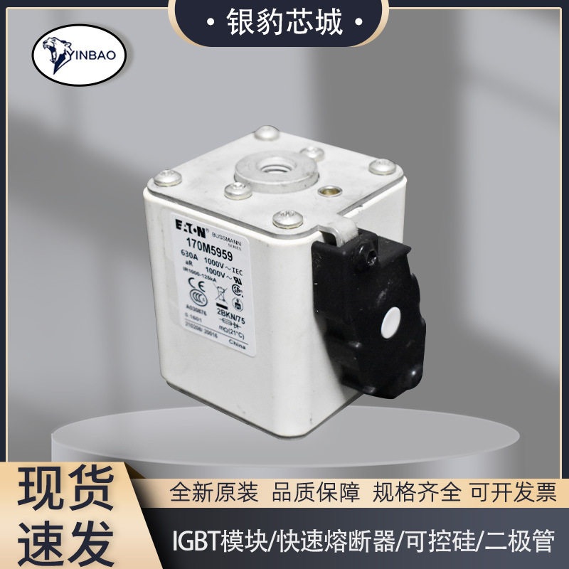 170M5958 170M5959 170M5960 170M5961全新熔断器保险丝量大优惠