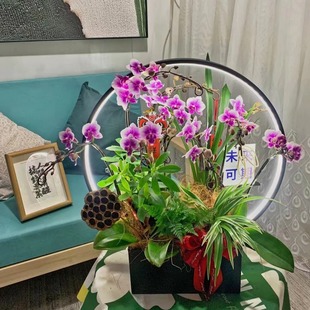 新中式LED带灯蝴蝶兰花盆冬青银柳年宵花插花器花篮金属福桶摆件