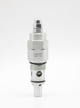 直动式溢流阀ZNRV-100