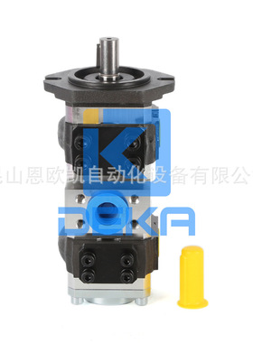 DEKA双联泵PGI102-2-004RP30-11-6100+PGI102-2-008RK03-11-6100