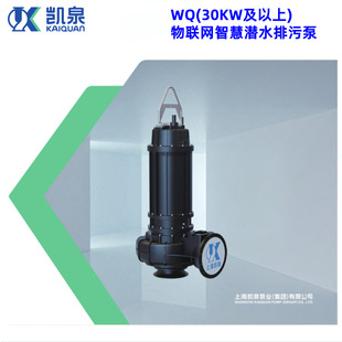 258 2.2 259系列潜水排污泵承接项目工程废水 E243 上海凯泉50WQ