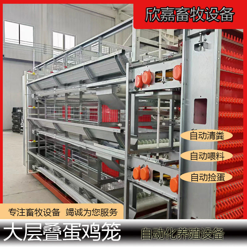 H型大层叠自动化设备自动喂料自动清粪自动捡蛋鸡舍养殖场专用