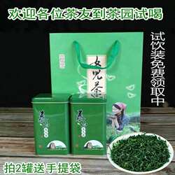 山东泰安特产泰山女儿茶高山云雾绿茶一罐拍2罐送手提袋