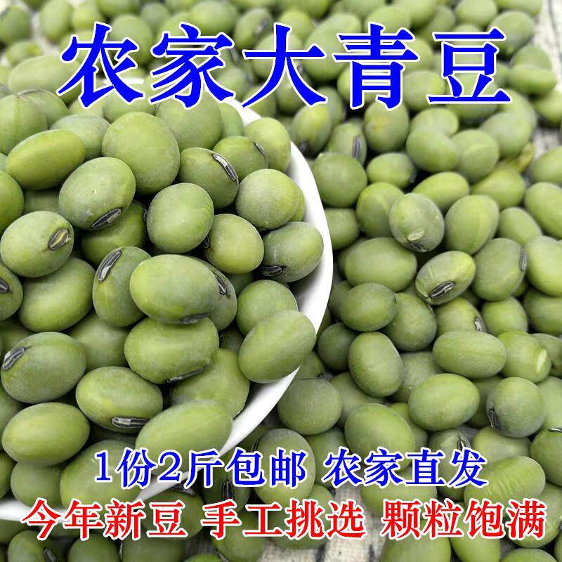 2024年新大青豆2斤包邮干青豆农家自种生青豆青皮绿心大黄豆毛豆