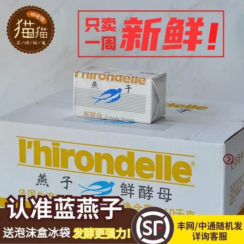 现货9.8产 牌鲜酵母500g新鲜高活性发酵粉蓬发耐高糖强力