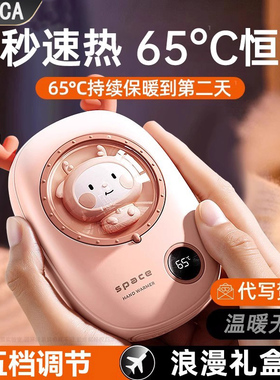 德国进口新款可便捷暖手宝二合一