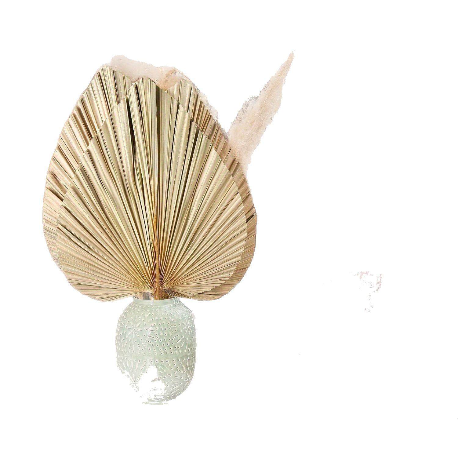 原色棕榈叶婚礼造景厂家蒲扇大蒲葵扇叶干花家居装饰,家居饰品,餐桌花艺,淘宝优惠券,粉丝福利购,淘宝优惠卷