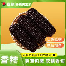 【御绿食品】龙江一栗东北黑糯玉米240g*8根