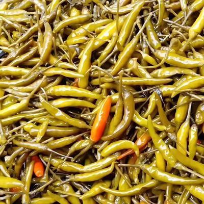 腌制小米椒酱咸菜下饭菜农家自制尖椒朝天椒泡椒青辣椒商用酸辣椒