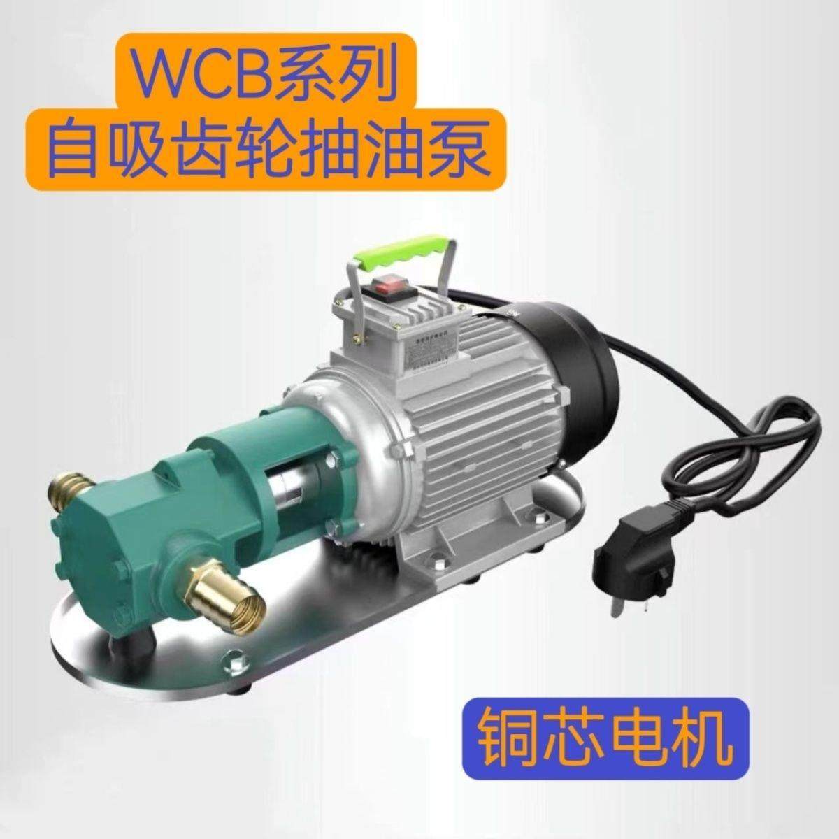 wcb齿轮泵小型便携手提式不锈钢耐高温机油柴油食用油便携式油泵,标准件/零部件/工业耗材,液压泵,淘宝优惠券,粉丝福利购,淘宝优惠卷