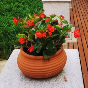新品包邮户外红h陶花盆粗陶陶土罐大口径卧罐园林景观多肉落地摆
