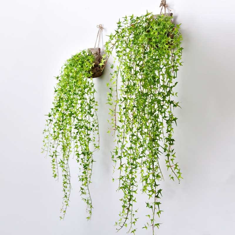 壁挂花仿真叶子客厅绿植物装v饰垂吊假花藤条室内塑料藤蔓吊兰吊,鲜花速递/花卉仿真/绿植园艺,仿真绿植,淘宝优惠券,粉丝福利购,淘宝优惠卷