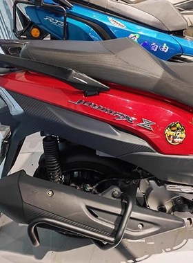 适用三阳九妹Z300排气护杠九妹PLUSG300排气管保险杠消音器保护架