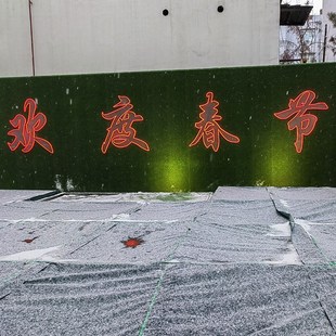 定制物业小区大门口春节装饰新年快乐欢度佳节Nled霓虹灯带发光字