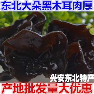 东北大兴安岭特产黑木耳天然大朵木耳无根新产干货农家特产