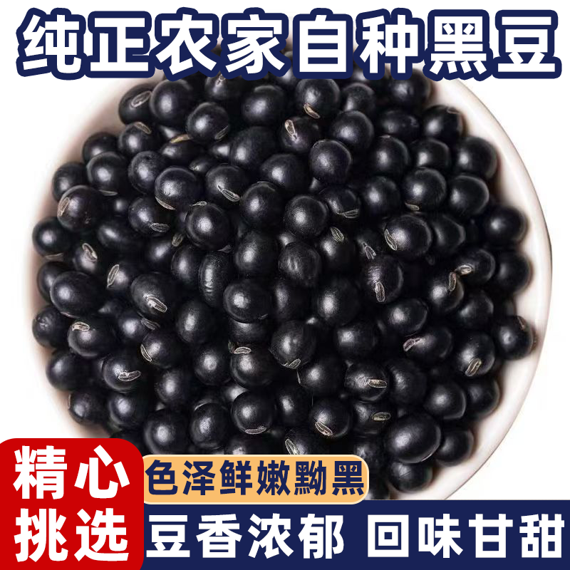 正宗黑豆东北农家自种纯天然补气血养生五谷杂粮黑豆打黑豆浆批发
