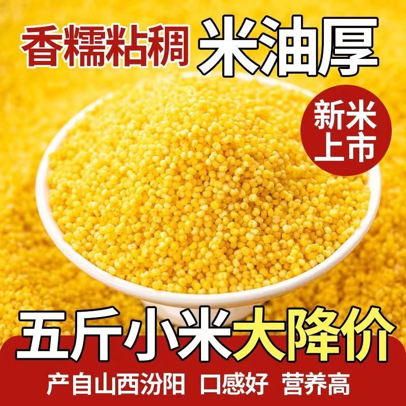 5斤山西黄小米一级油糯小米粥当季五谷月子米黄米小米煮粥500g