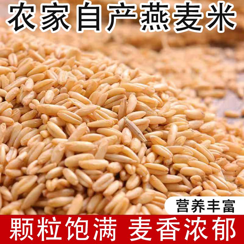 东北新鲜燕麦米燕麦仁燕麦去壳健康粗粮老少皆宜五谷杂粮粥饭伴侣