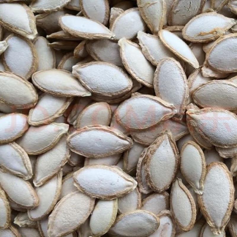 新货 农家毛边南瓜籽 原味 新鲜 饱满 小包装 正宗土南瓜籽老品种