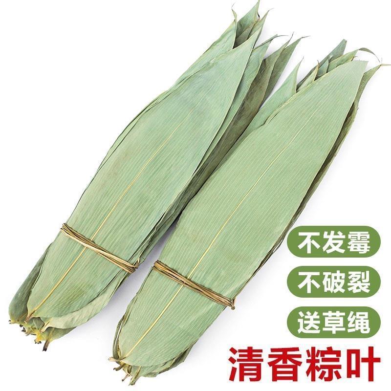 粽叶干大粽子叶端午节家用箬竹棕叶鲜棕叶新鲜晒干大号包粽子叶子