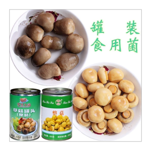 正宗口蘑草菇蘑菇罐头炒菜煲汤沙拉凉拌罐装食用菌菇烹饪食材425g